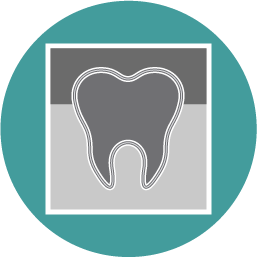Patient Exams, X-Rays, & Cleanings